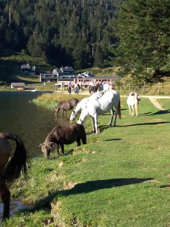 Gite Cosy Lac De Payolle Campan Eksteriør billede