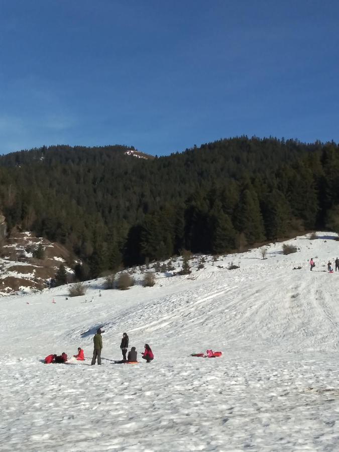 Gite Cosy Lac De Payolle Campan Eksteriør billede