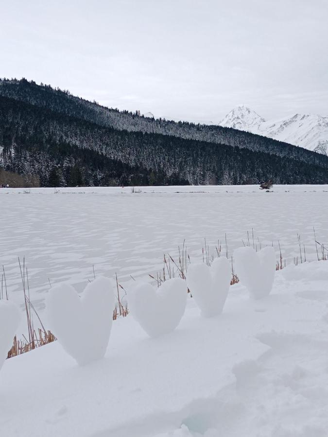 Gite Cosy Lac De Payolle Campan Eksteriør billede