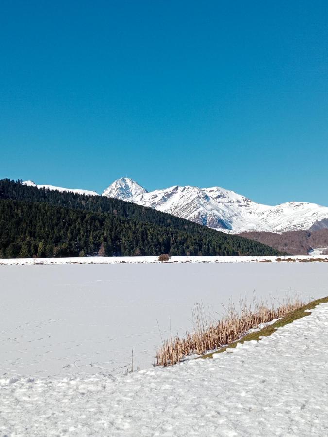 Gite Cosy Lac De Payolle Campan Eksteriør billede